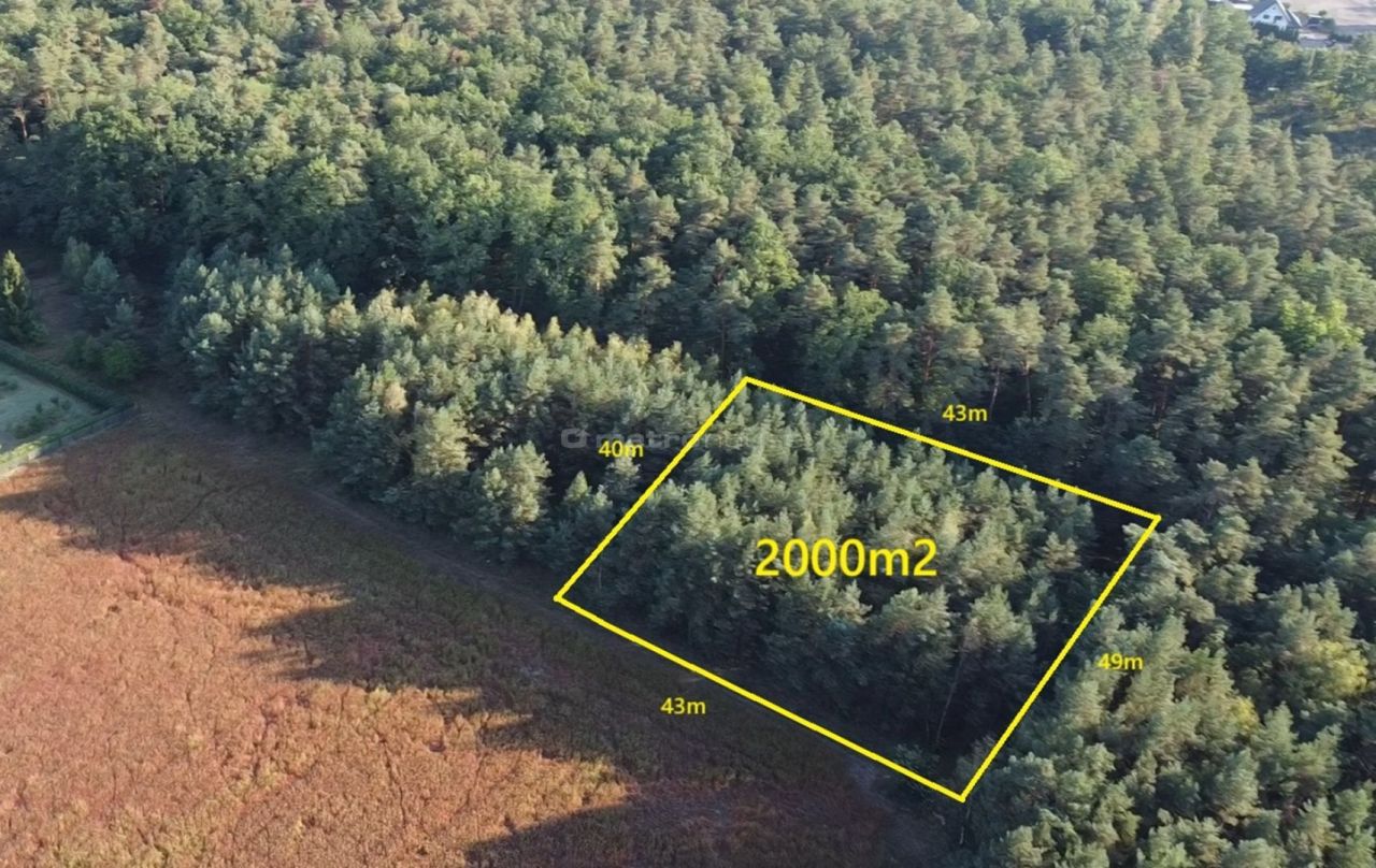 Działka budowlana Zalesie Borowe. Zdjęcie 4