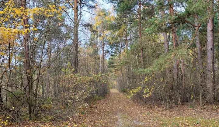 Działka rekreacyjna Zakrzówek Szlachecki