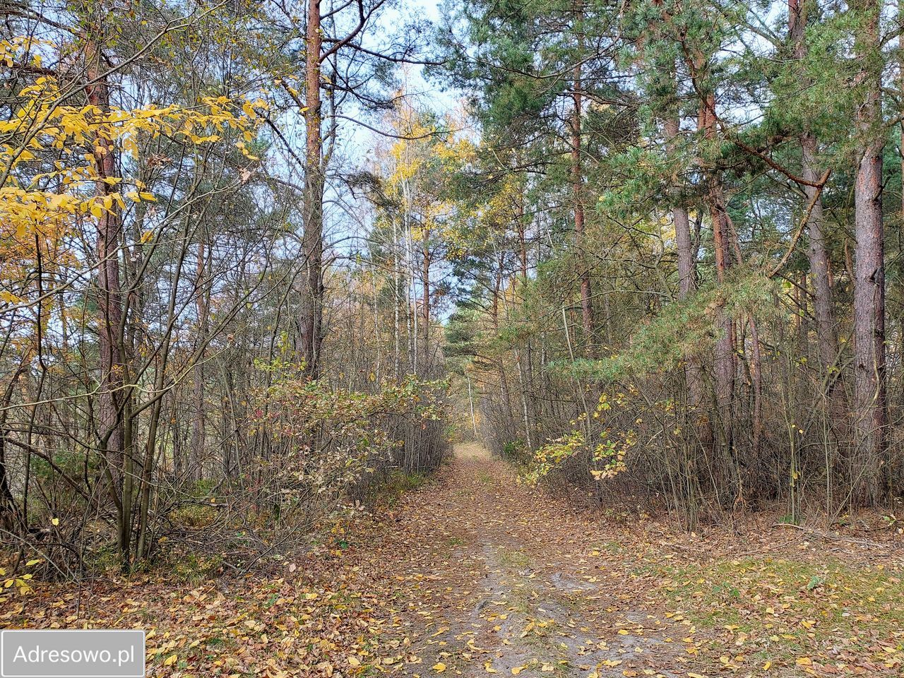 Działka rekreacyjna Zakrzówek Szlachecki