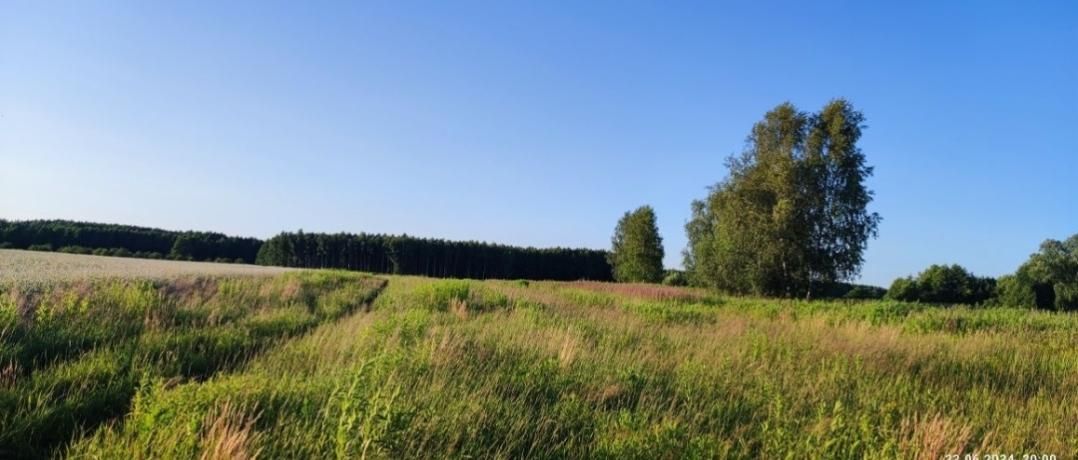 Działka rolna Kuźniczysko, Brak. Zdjęcie 7