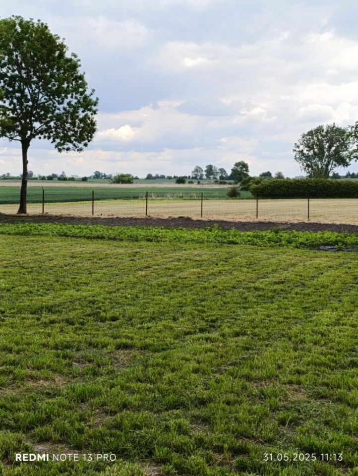 Działka rolno-budowlana Murzynko. Zdjęcie 6