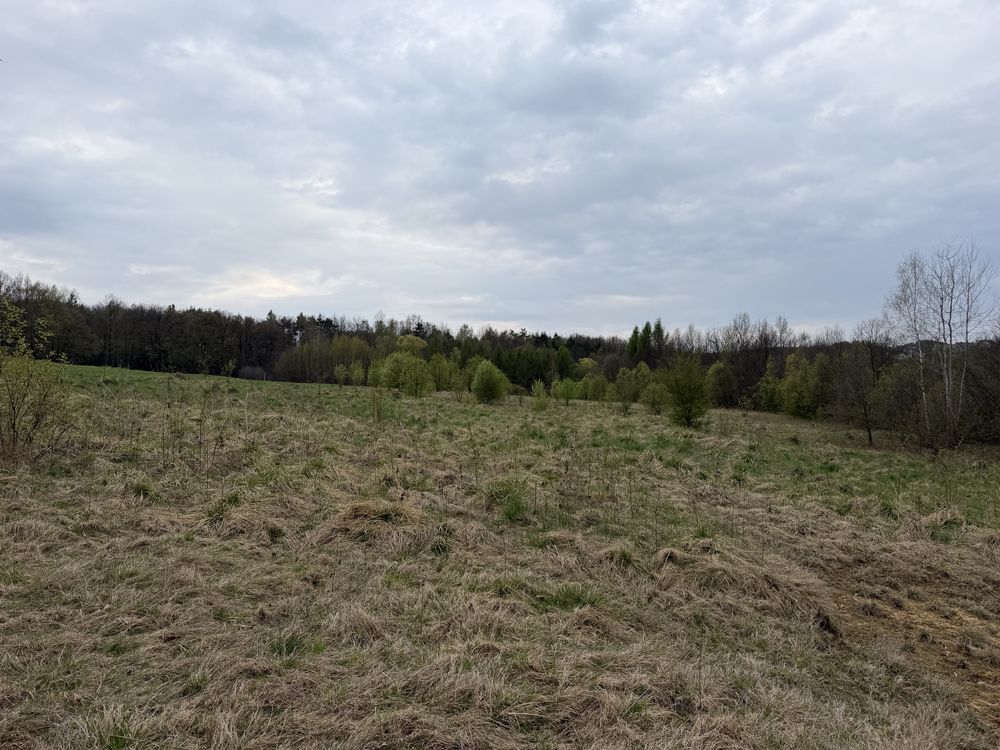 Działka budowlana Głogoczów. Zdjęcie 7