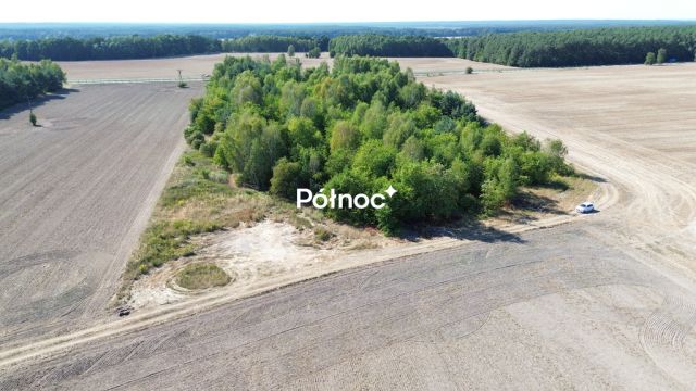 Działka inwestycyjna Dąbrowa Bolesławiecka. Zdjęcie 11