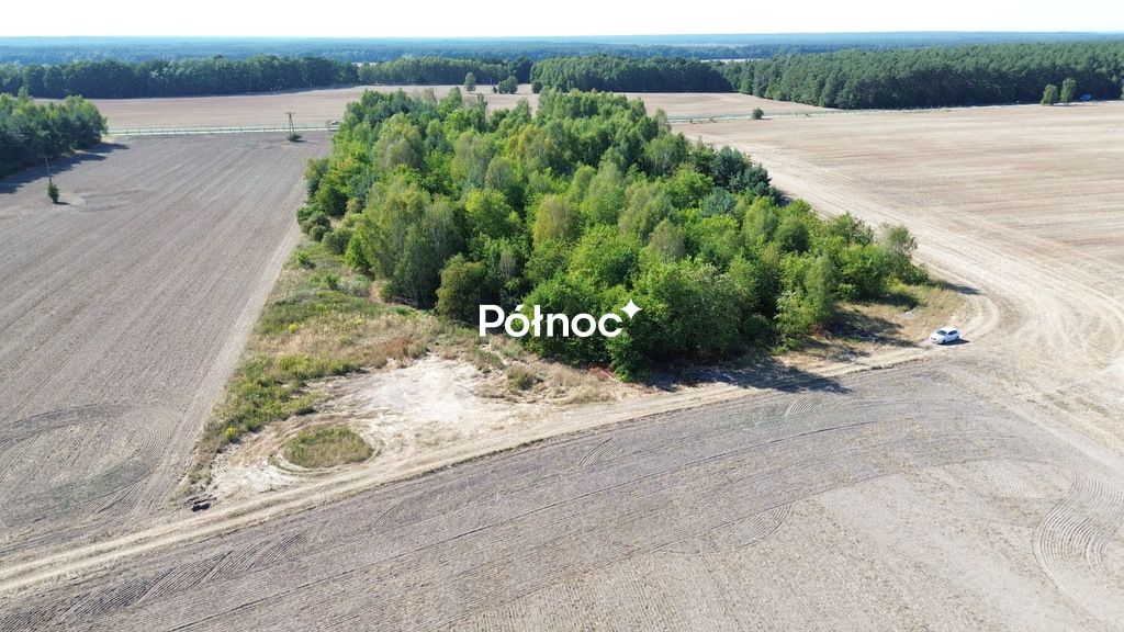 Działka inwestycyjna Dąbrowa Bolesławiecka. Zdjęcie 11