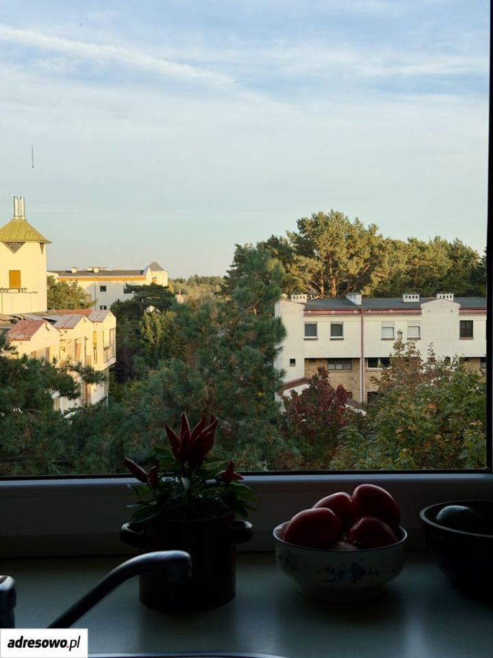 Mieszkanie 3-pokojowe Poznań Stare Miasto. Zdjęcie 9