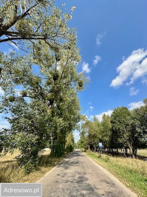 Działka budowlana Rafałówka. Zdjęcie 15
