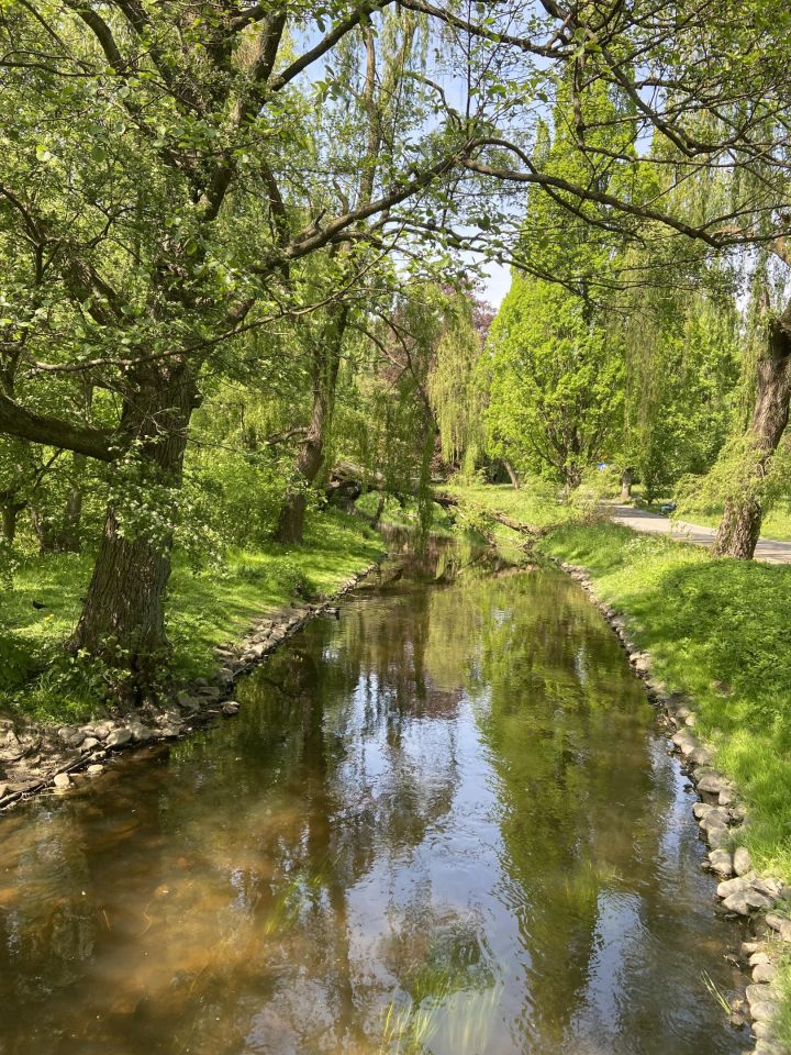 Mieszkanie 4-pokojowe Koszalin Centrum, ul. Szpitalna. Zdjęcie 23
