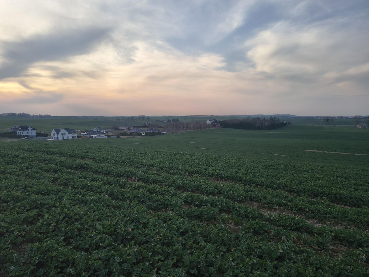 Działka budowlana Lubiszewo Tczewskie. Zdjęcie 14
