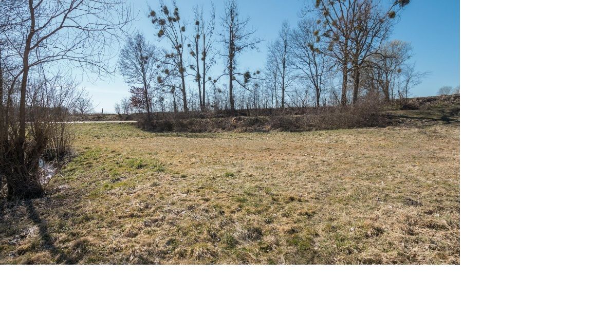 Działka budowlana Wilkowo. Zdjęcie 4