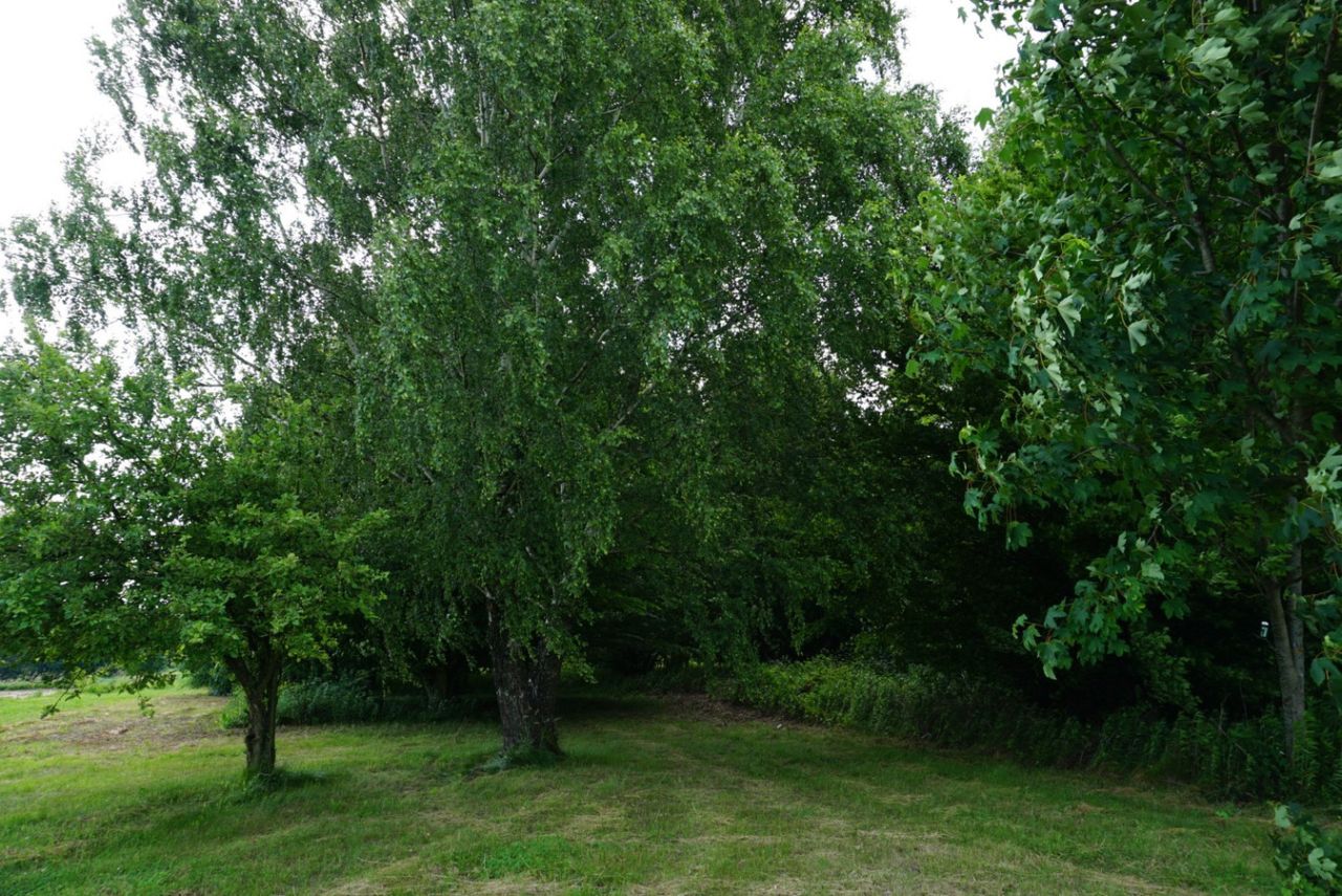 Działka budowlana Przybówka. Zdjęcie 12