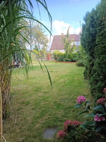 bliźniak Darłowo. Zdjęcie 1