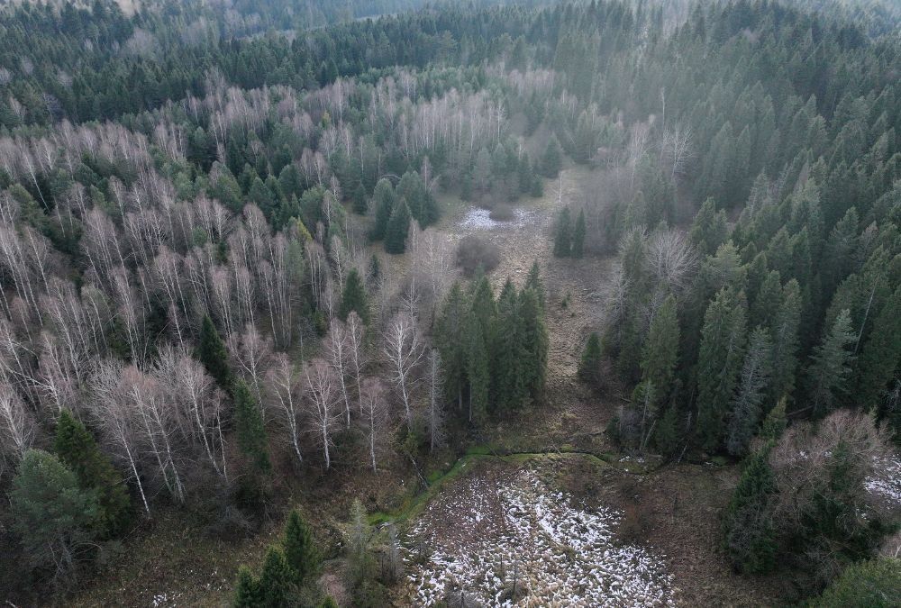 Działka rolna Czarna. Zdjęcie 10