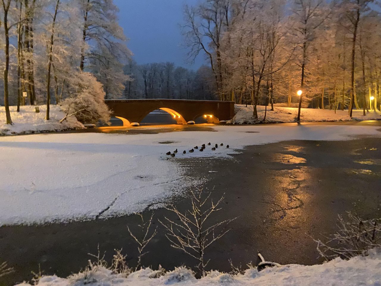 dom wolnostojący, 4 pokoje Młochów, ul. Źródlana. Zdjęcie 19