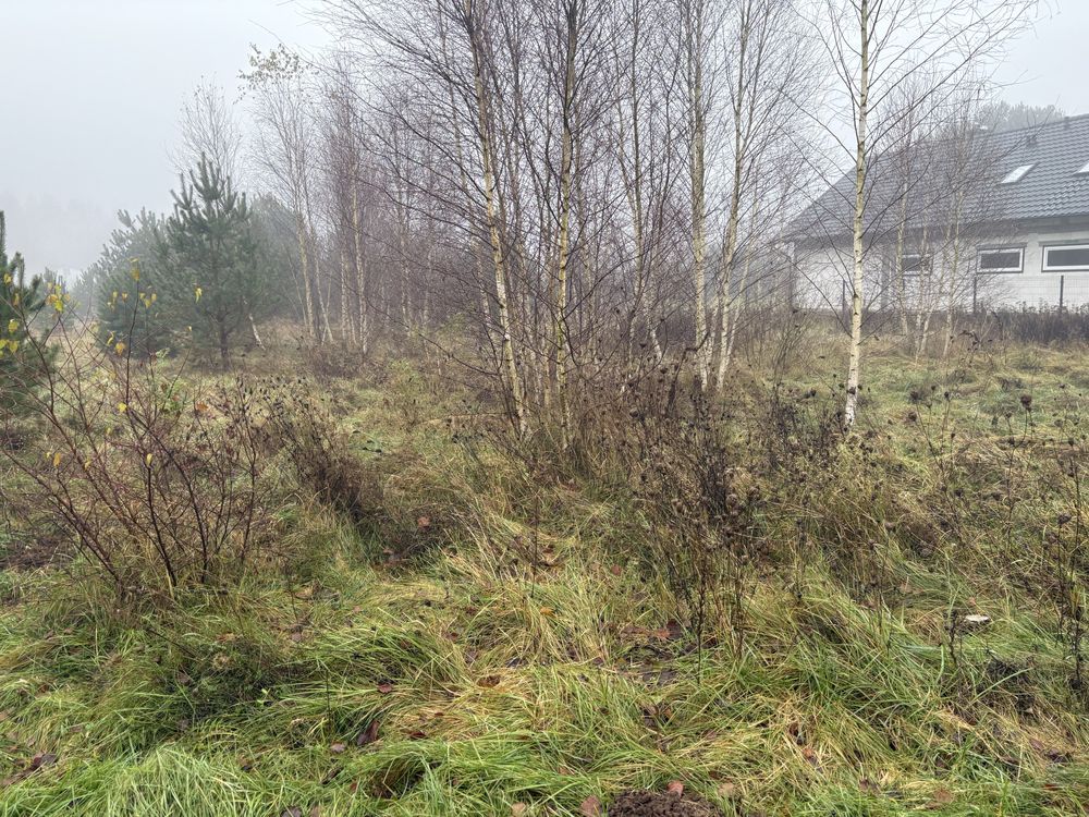 Działka budowlana Kurkowo. Zdjęcie 4