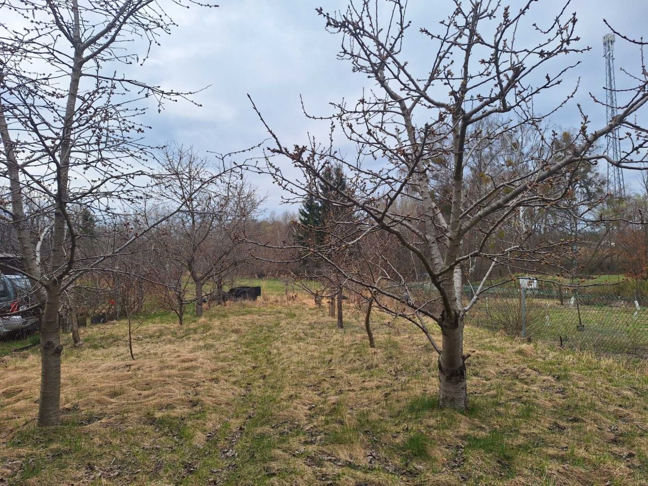 bliźniak Sławoborze. Zdjęcie 7