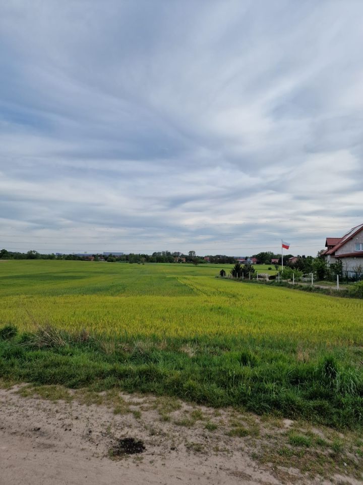 Działka budowlana Święte. Zdjęcie 2