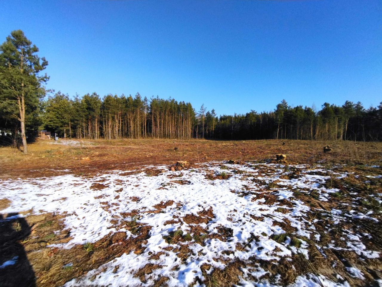 Działka rolna Radom. Zdjęcie 6