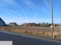 Działka budowlana Skrzypiec. Zdjęcie 1