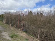 Działka rod Tczew. Zdjęcie 4