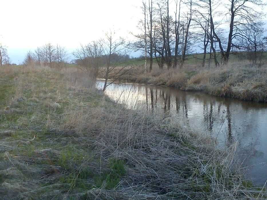 Działka rolna Wilkiejmy. Zdjęcie 2