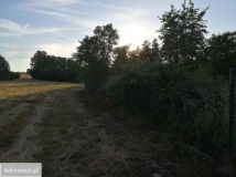 dom wolnostojący, 3 pokoje Dominikowice. Zdjęcie 3