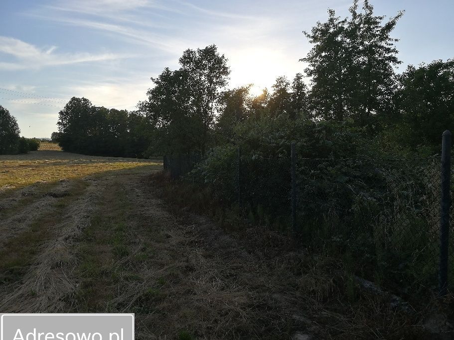 dom wolnostojący, 3 pokoje Dominikowice. Zdjęcie 4