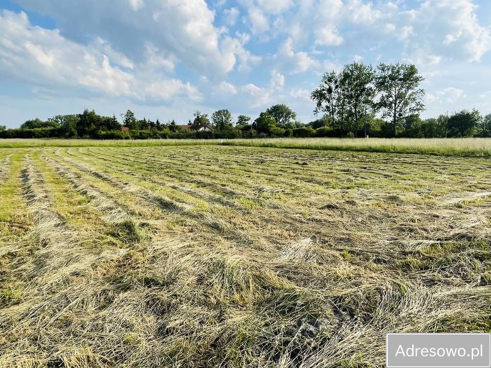 Działka budowlana Będgoszcz. Zdjęcie 3