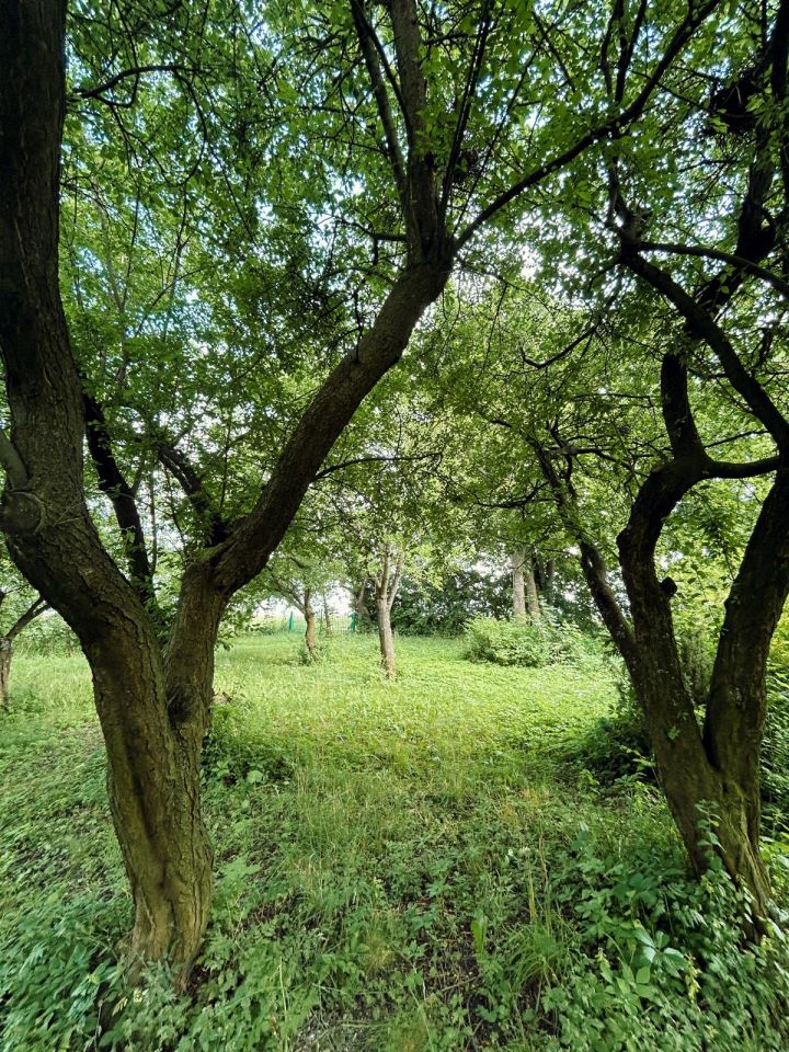 dom wolnostojący, 3 pokoje Bukowska Wola. Zdjęcie 27