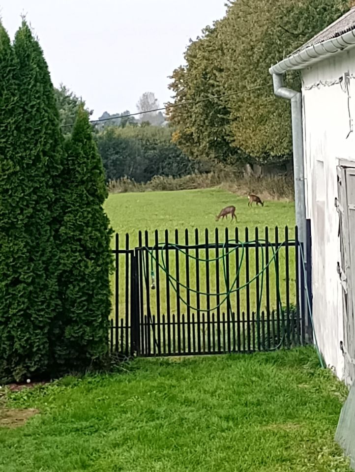 siedlisko, 3 pokoje Podzamcze. Zdjęcie 9