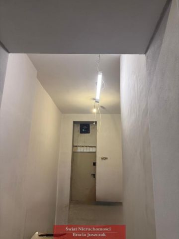 Lokal Wrocław. Zdjęcie 5