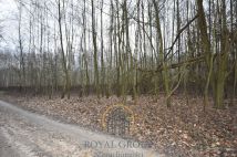 Działka leśna Jawidz. Zdjęcie 4