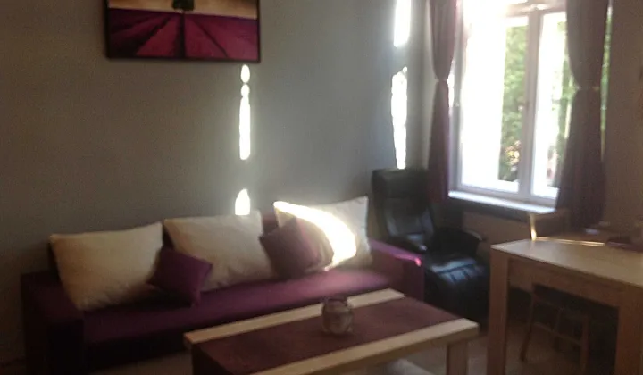 Mieszkanie 1-pokojowe Bydgoszcz Śródmieście, ul. 20 Stycznia 1920