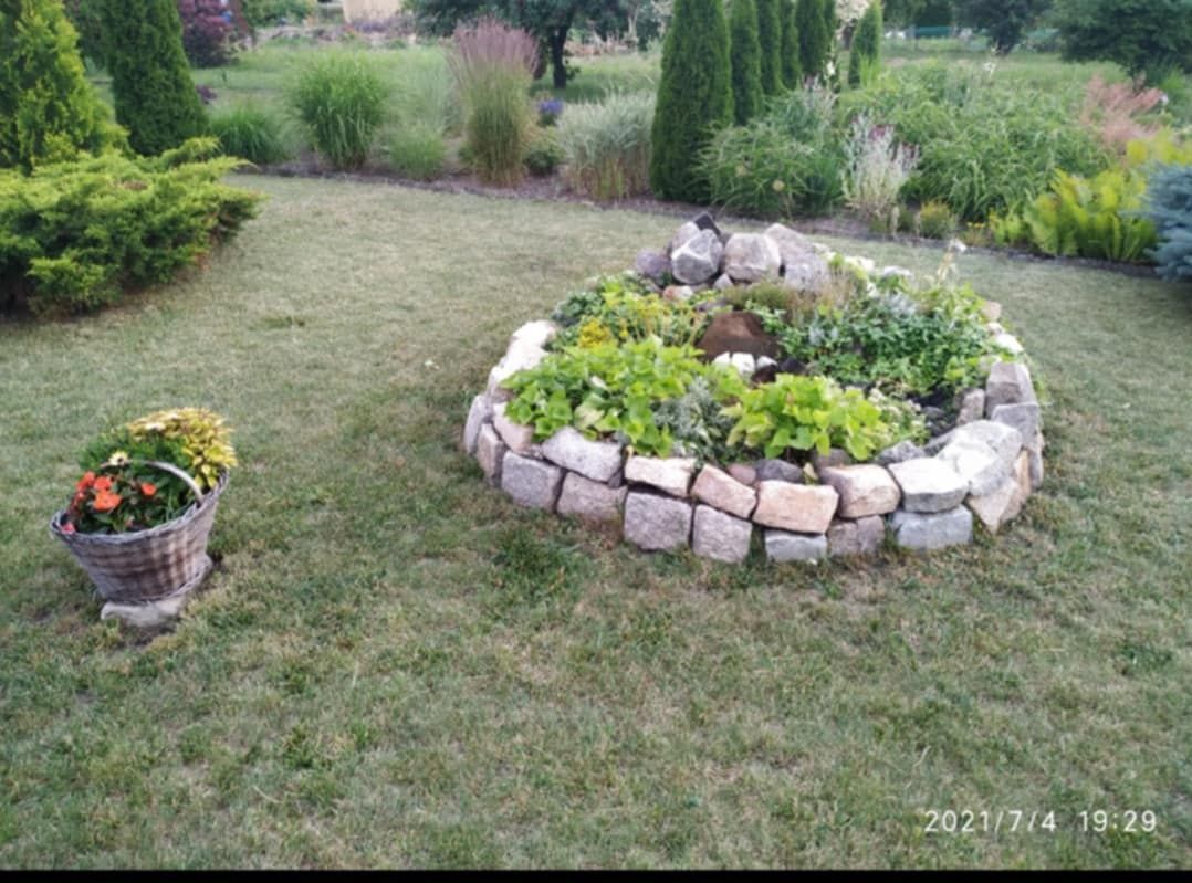 Działka rod Rawicz. Zdjęcie 6