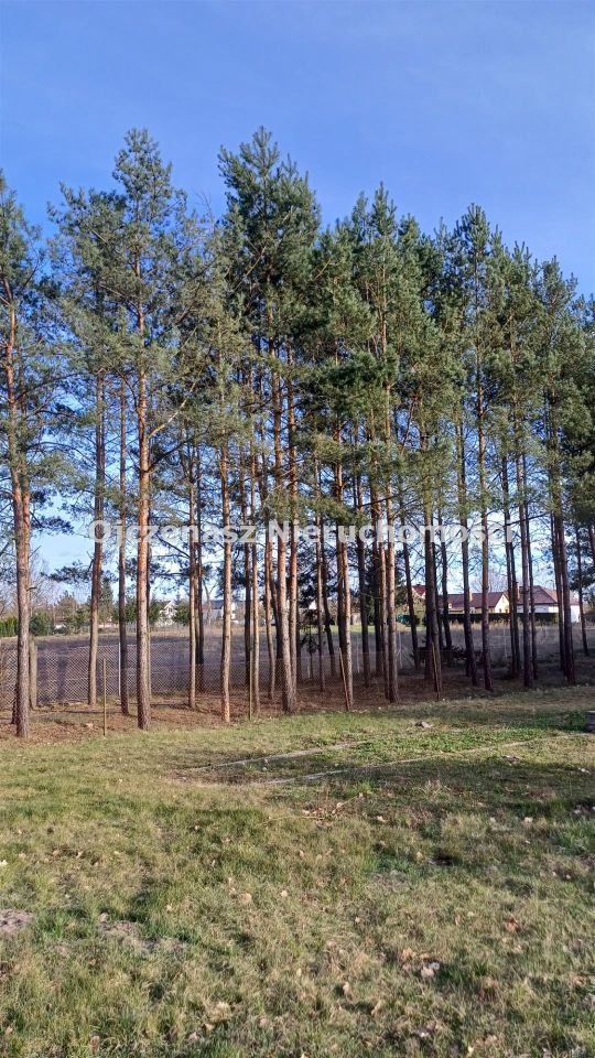 Działka budowlana Osielsko. Zdjęcie 5