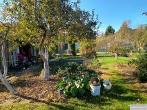 Działka rod Zielona Góra Jędrzychów. Zdjęcie 4