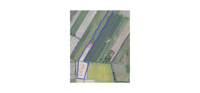 Działka rolna Wiski. Zdjęcie 1