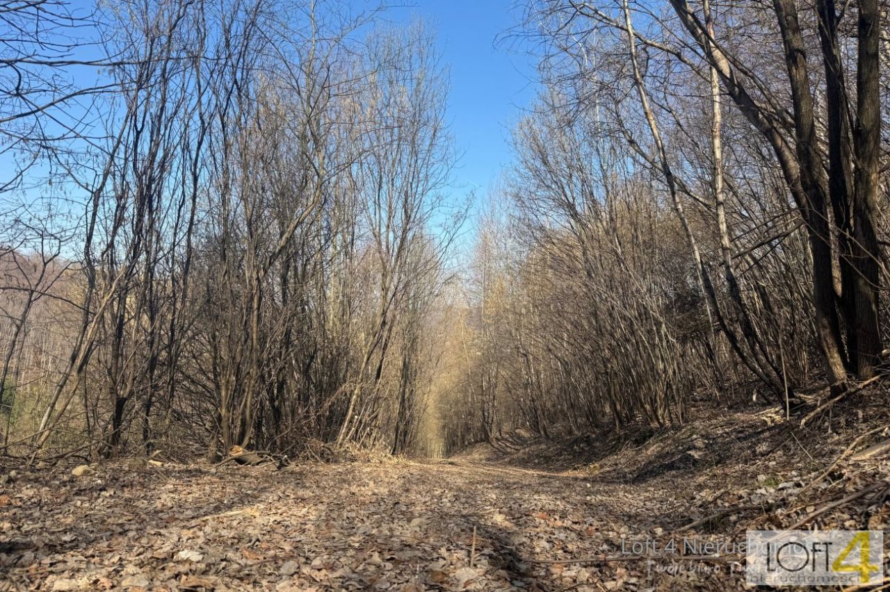 Działka budowlana Obłazy Ryterskie. Zdjęcie 12