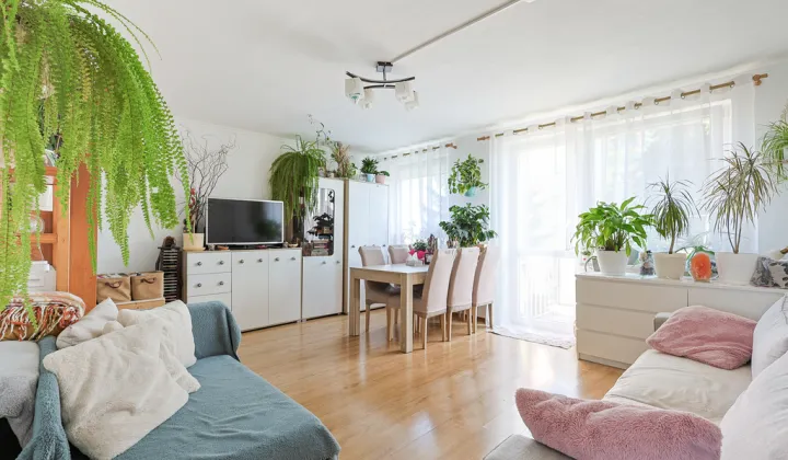 Mieszkanie 3-pokojowe Krosno, ul. Ignacego Łukasiewicza