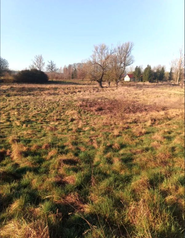 Działka rekreacyjna Brzeźnica, Brzeźnica. Zdjęcie 4