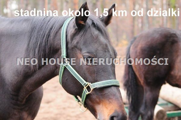 Działka budowlana Warszawa Białołęka, ul. Poręby. Zdjęcie 10