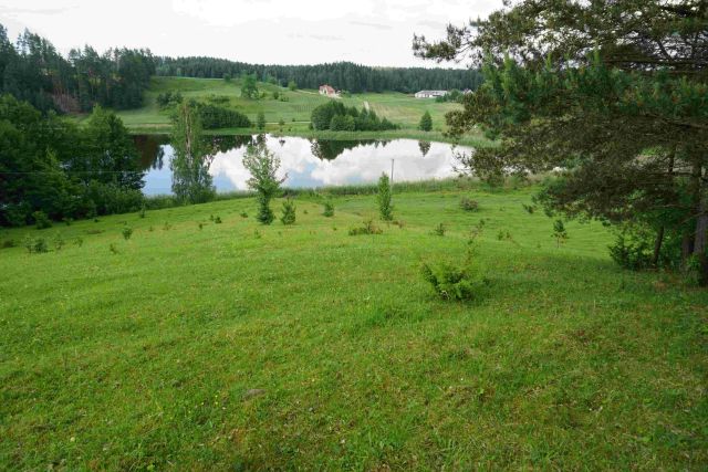 Działka siedliskowa Osinki. Zdjęcie 5