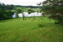 Działka siedliskowa Osinki. Zdjęcie 4