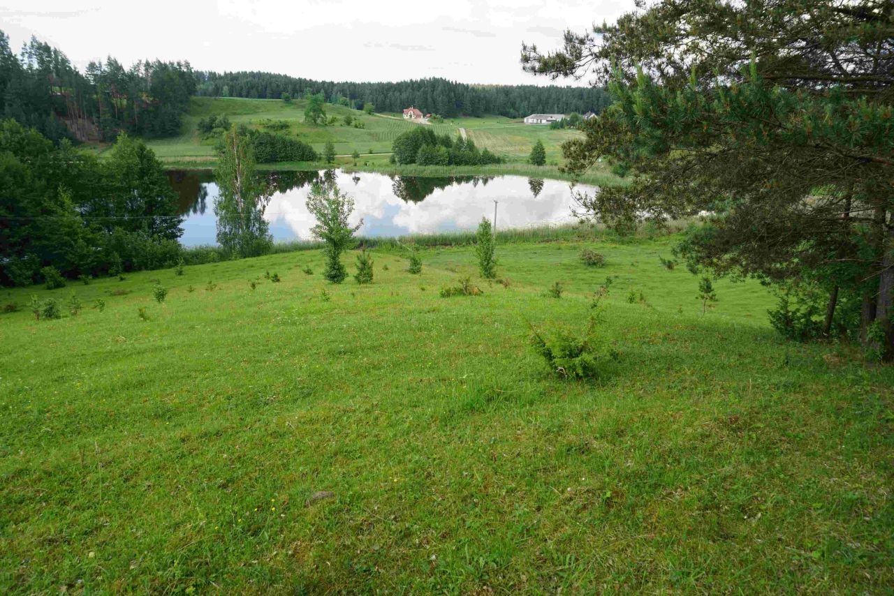 Działka siedliskowa Osinki. Zdjęcie 5