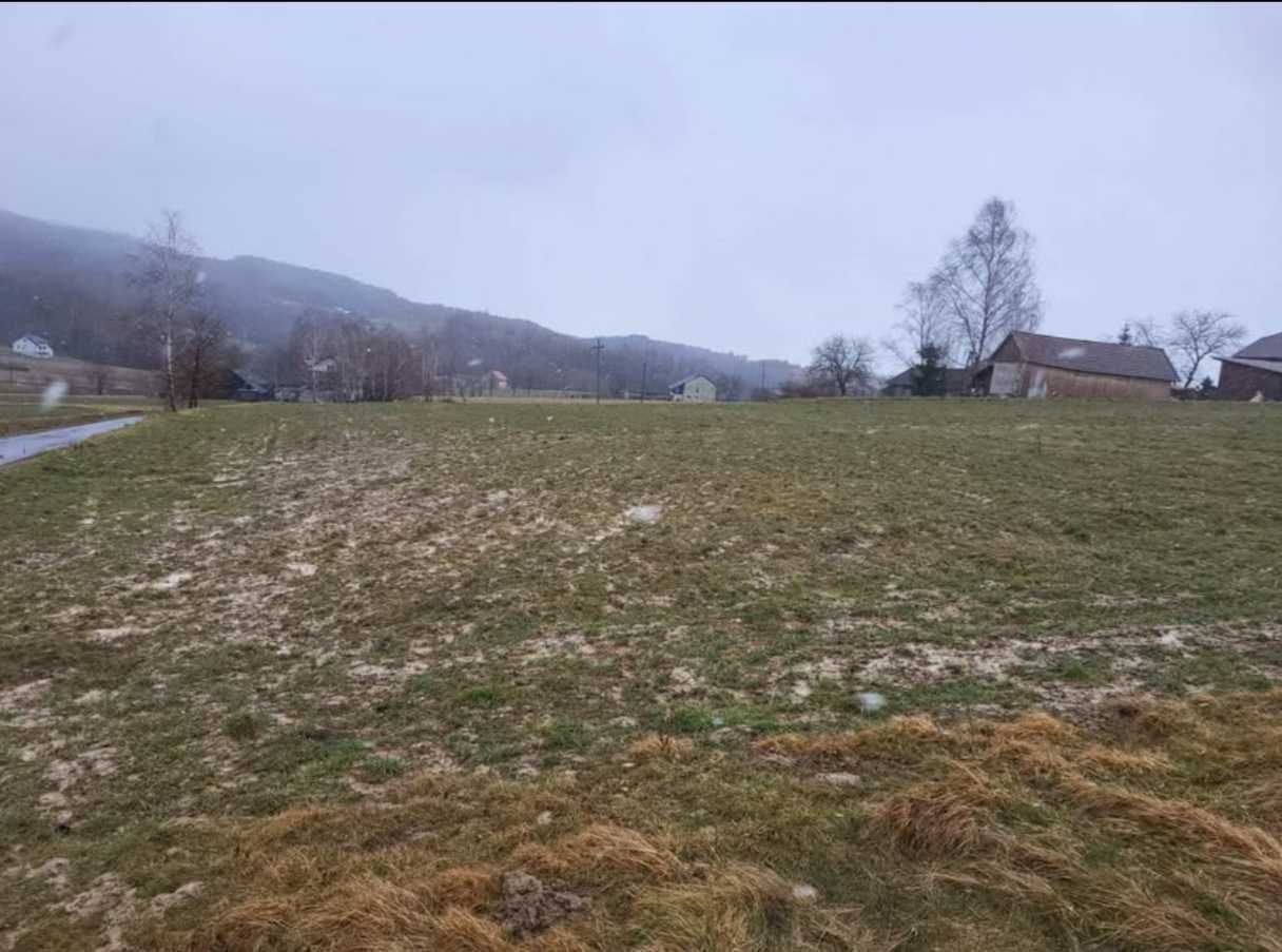 Działka rolno-budowlana Czermna. Zdjęcie 2