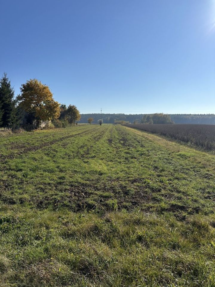 Działka rolno-budowlana Czekarzewice Drugie. Zdjęcie 5