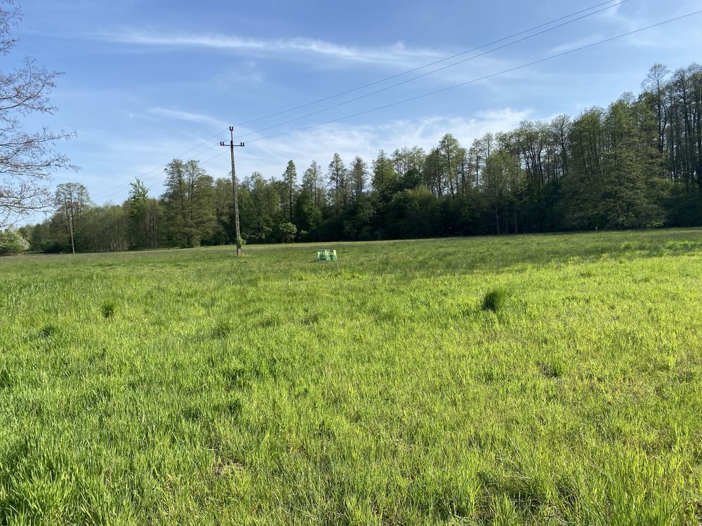 Działka inwestycyjna Kwiatkowice. Zdjęcie 6