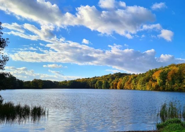 Działka rekreacyjna Boszkowo, ul. Główna. Zdjęcie 1