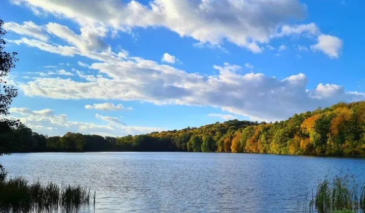 Działka rekreacyjna Boszkowo, ul. Główna