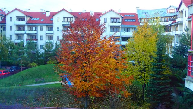 Mieszkanie 3-pokojowe Warszawa Ursynów, ul. Pachnąca. Zdjęcie 6