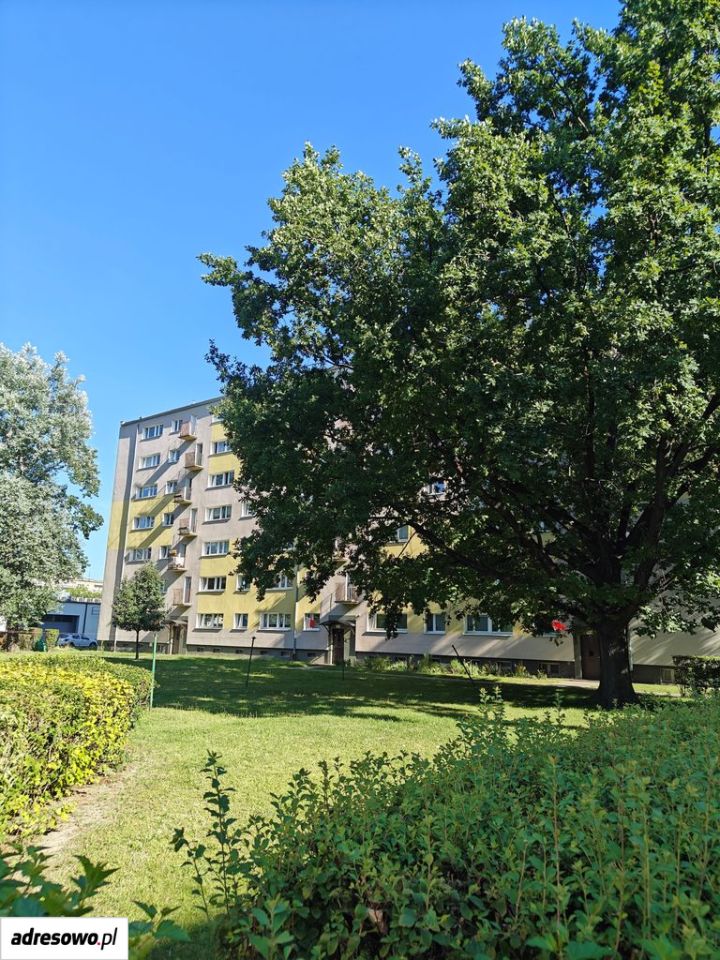 Mieszkanie 1-pokojowe Poznań Grunwald, ul. Jutrzenka. Zdjęcie 8
